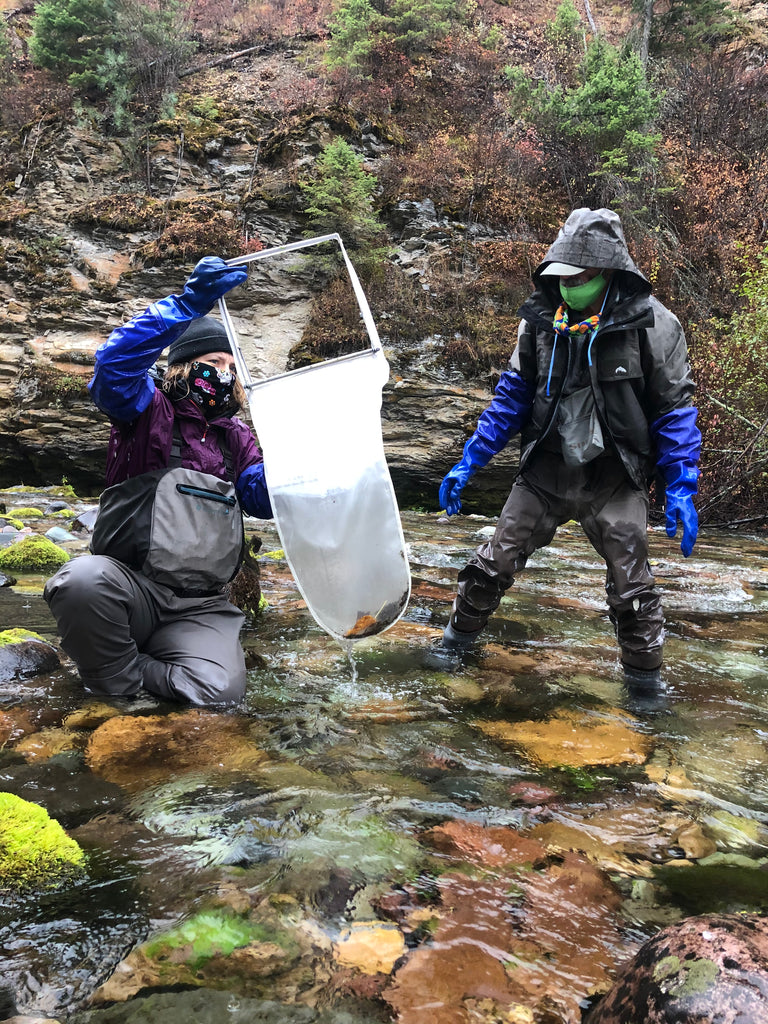 WestSlope Chapter Trout Unlimited Members Jump into Citizen Science