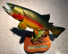 WSCTU Receives 2019 Silver Trout Award from TU National!